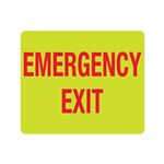 Luminescent Emergency Exit 10"x12" Sign